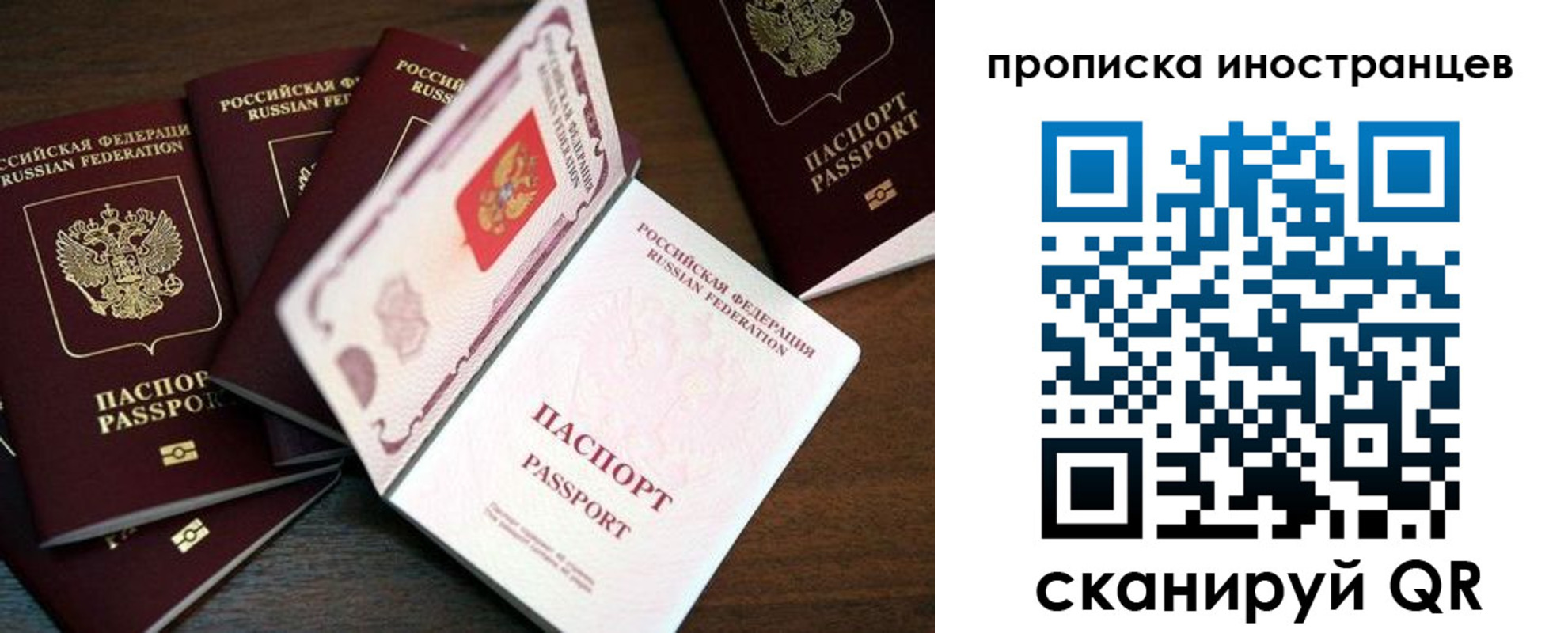 временная регистрация гарантия в Завитинске